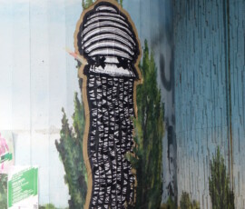 graffiti-and-streetart-0016