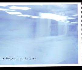 photo art prints s001