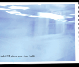photo art prints s001
