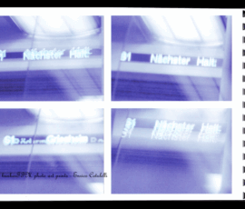 photo art prints s001
