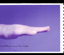photo art prints s001