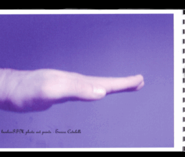 photo art prints s001