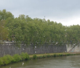 Rome Städteansichten